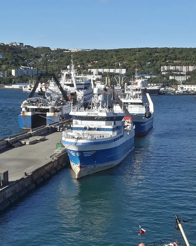 KAMCHATKA HARVEST General Cargo IMO 9113068 photo 5