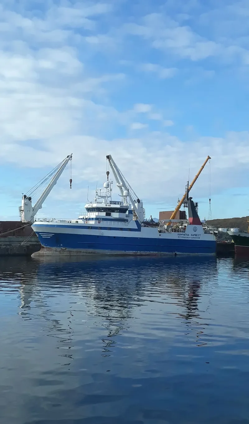 KAMCHATKA HARVEST General Cargo IMO 9113068 photo 7