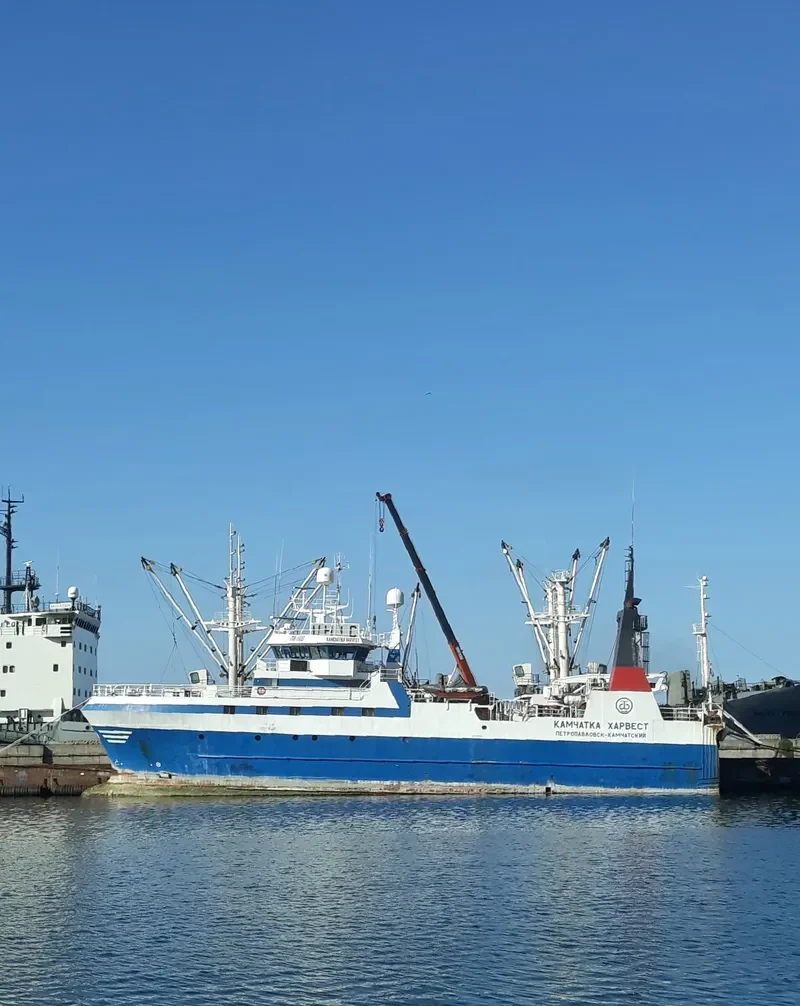 KAMCHATKA HARVEST General Cargo IMO 9113068 photo 8