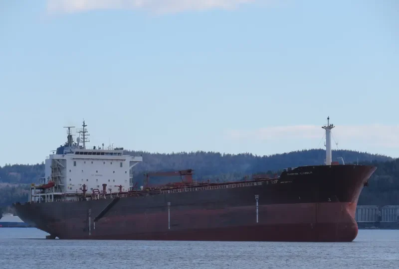 OZICHUKWU Tanker IMO 9113147 photo 4