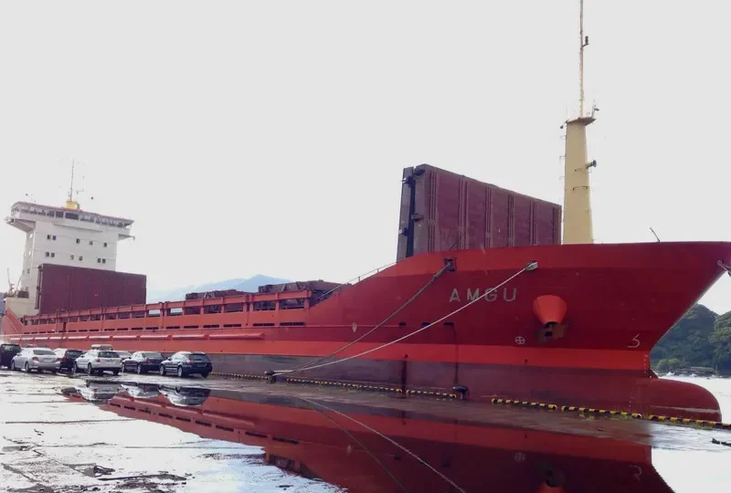 AMGU General Cargo IMO 9113226 photo 9