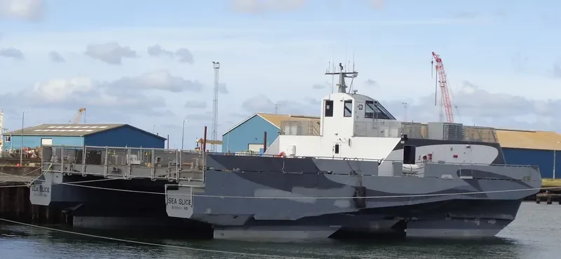 SEA SLICE Passenger Ship IMO 9113252 photo 3