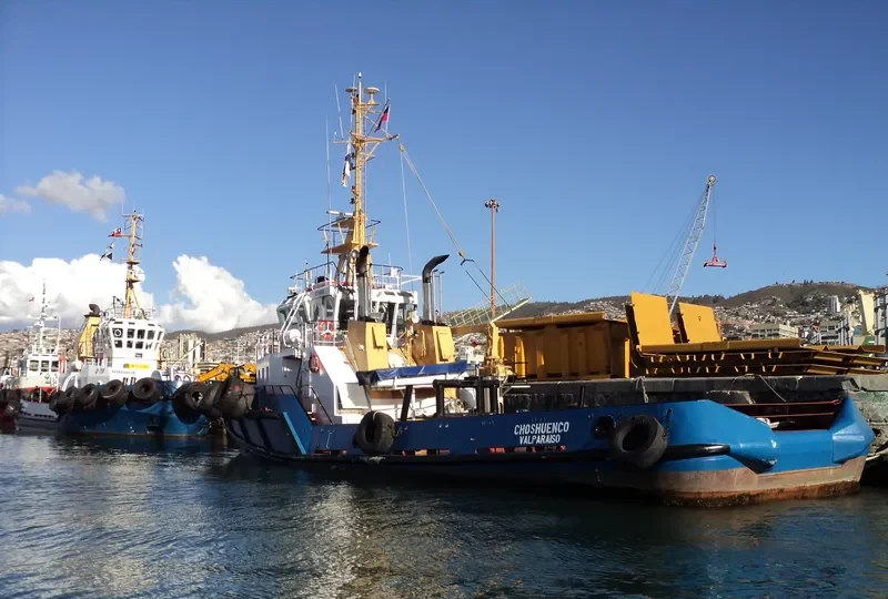 CHOSHUENCO General Cargo IMO 9113290 photo 2