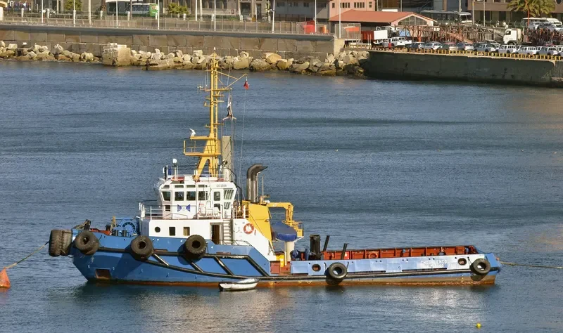 CHOSHUENCO General Cargo IMO 9113290 photo 5