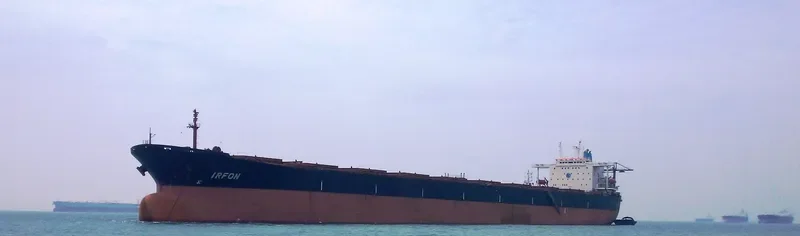 IRFON Bulk Carrier IMO 9113317