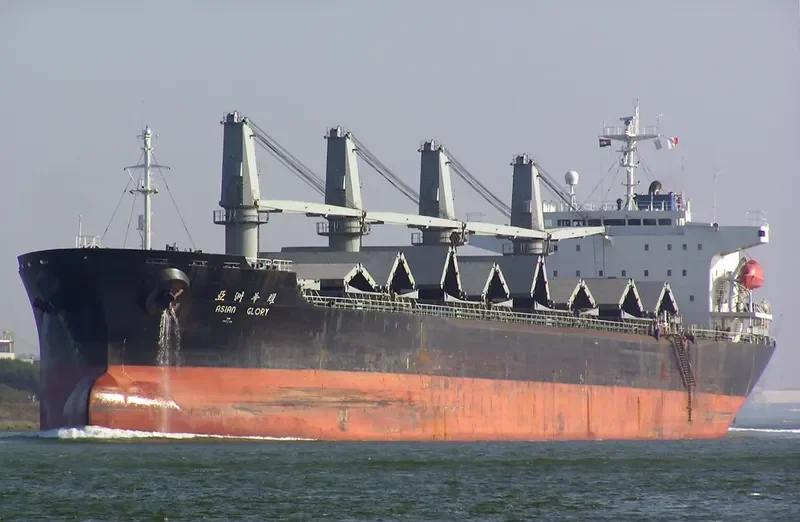 SHUN DA Bulk Carrier IMO 9113329 photo 6