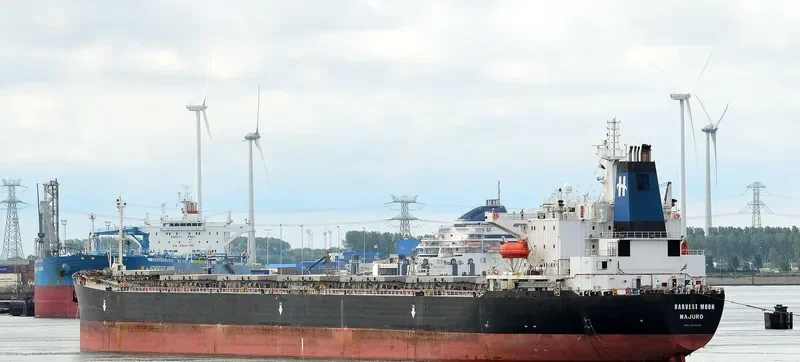 HONGCHANG Bulk Carrier IMO 9113410