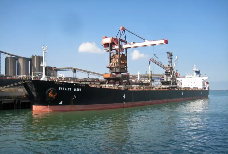 HONGCHANG Bulk Carrier IMO 9113410 photo 2