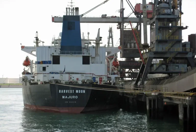 HONGCHANG Bulk Carrier IMO 9113410 photo 3