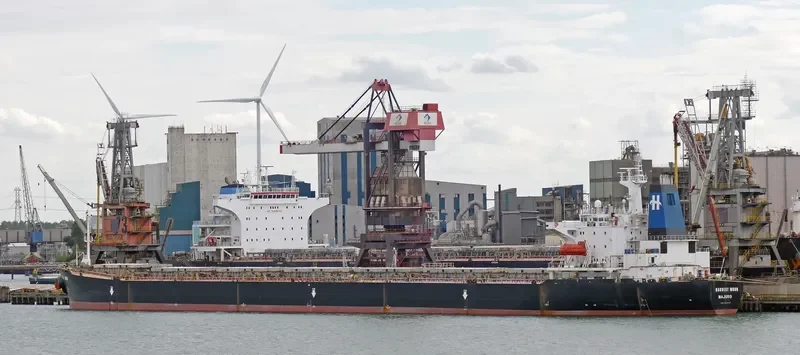 HONGCHANG Bulk Carrier IMO 9113410 photo 4