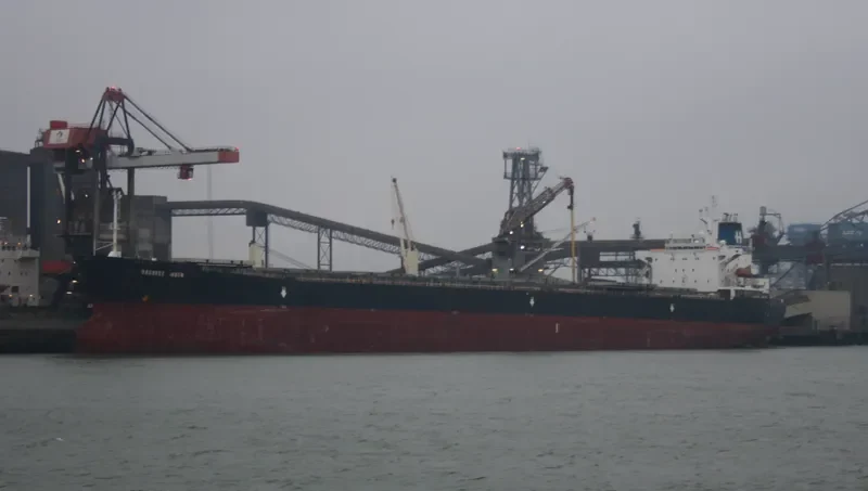 HONGCHANG Bulk Carrier IMO 9113410 photo 8