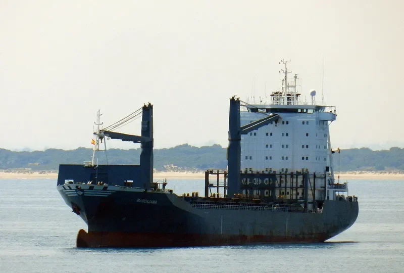 MARCAJAMA Container Ship IMO 9113458 photo 3
