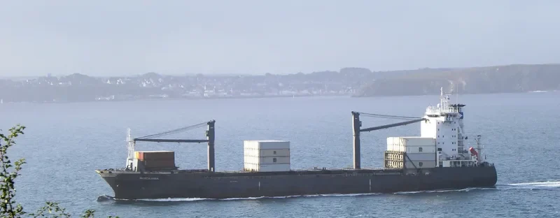 MARCAJAMA Container Ship IMO 9113458 photo 8