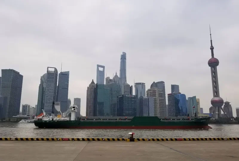 SIZIMAN Container Ship IMO 9113604 photo 2