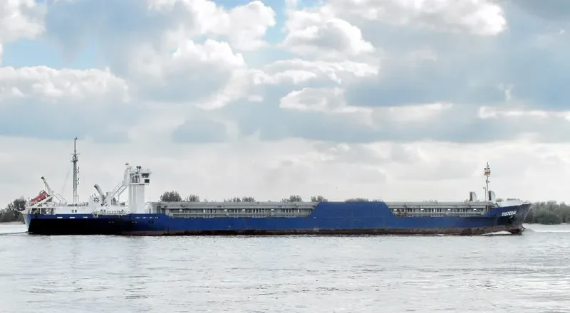 SIZIMAN Container Ship IMO 9113604 photo 7