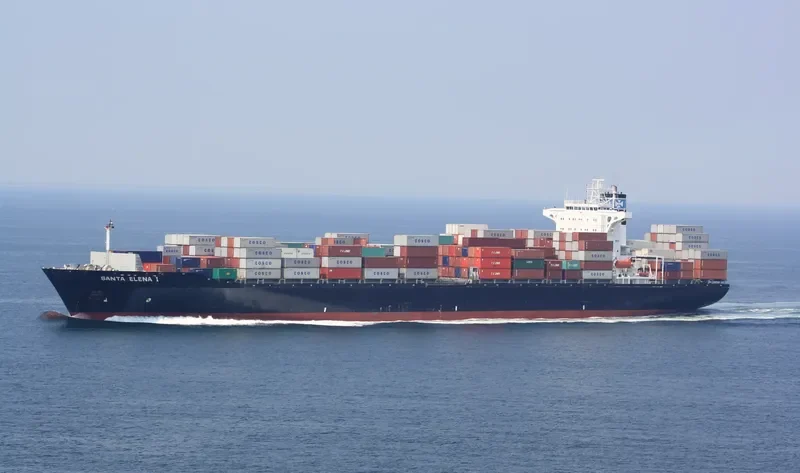 SELE Container Ship IMO 9113616 photo 3