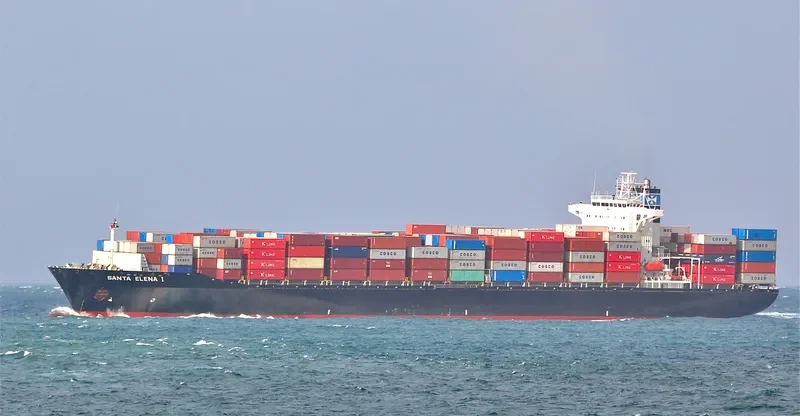 SELE Container Ship IMO 9113616 photo 4