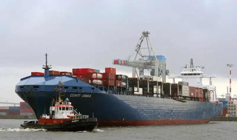 SINGA Container Ship IMO 9113642