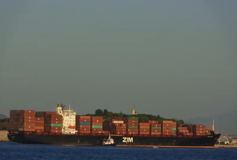 ZIM ATLANTIC Container Ship IMO 9113678 photo 8