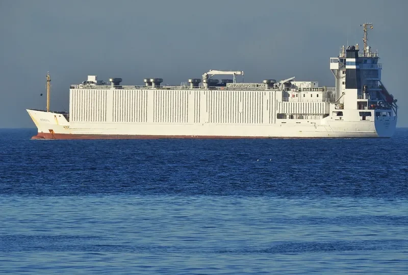 ALONDRA General Cargo IMO 9113719 photo 2
