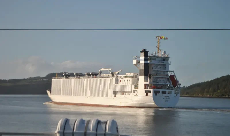 ALONDRA General Cargo IMO 9113719 photo 5
