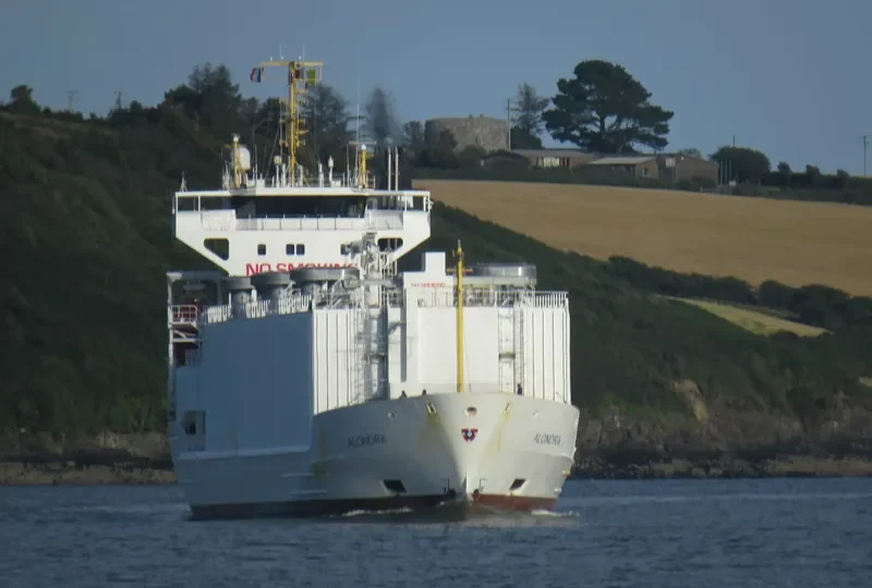 ALONDRA General Cargo IMO 9113719 photo 7