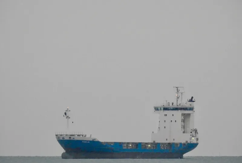 MARJA Container Ship IMO 9113721 photo 3