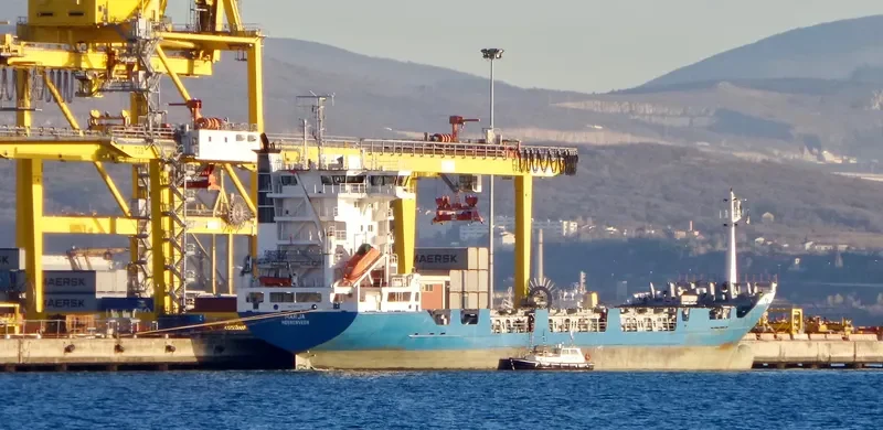 MARJA Container Ship IMO 9113721 photo 9