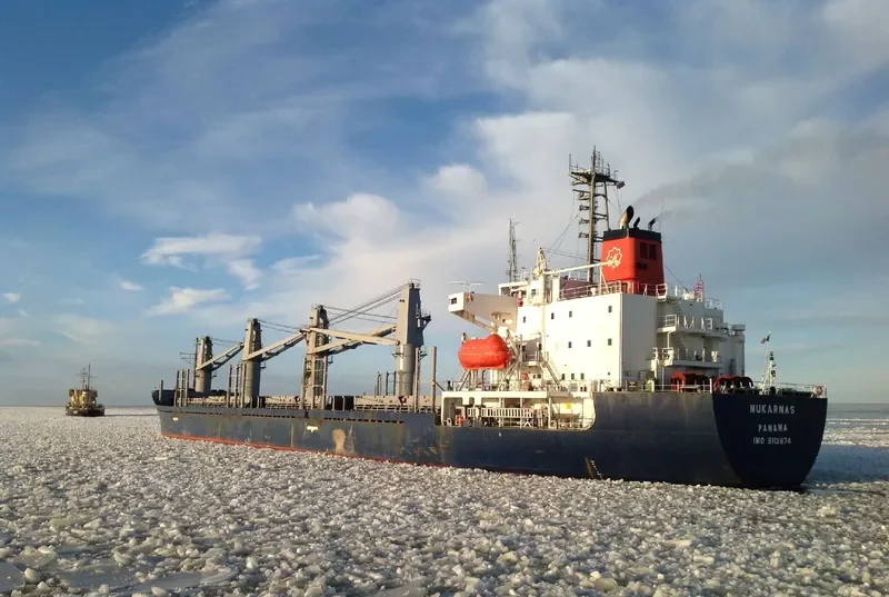 MOMENTUM PHONIX Bulk Carrier IMO 9113874
