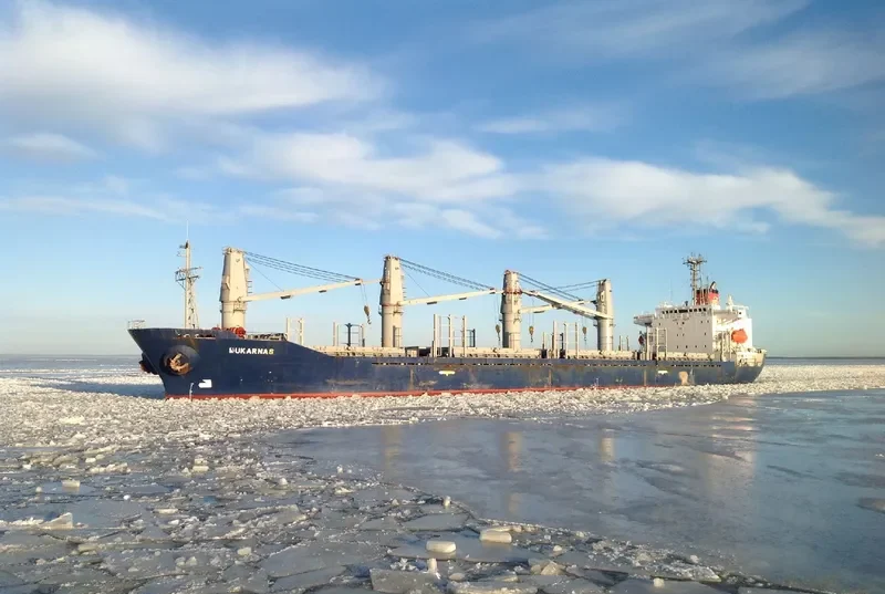 MOMENTUM PHONIX Bulk Carrier IMO 9113874 photo 2