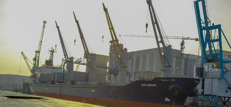 MOMENTUM PHONIX Bulk Carrier IMO 9113874 photo 3