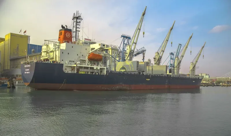 MOMENTUM PHONIX Bulk Carrier IMO 9113874 photo 4