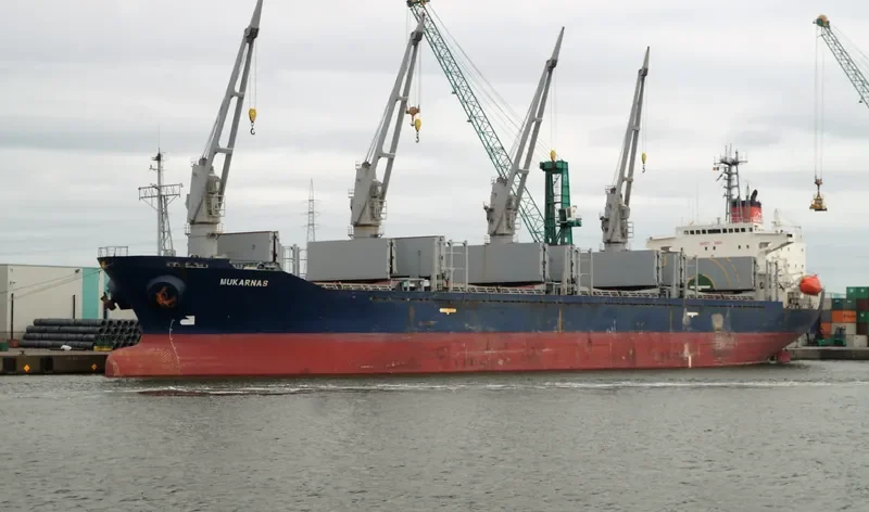 MOMENTUM PHONIX Bulk Carrier IMO 9113874 photo 5