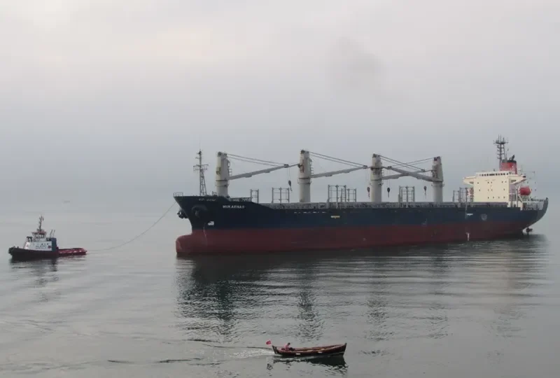 MOMENTUM PHONIX Bulk Carrier IMO 9113874 photo 6