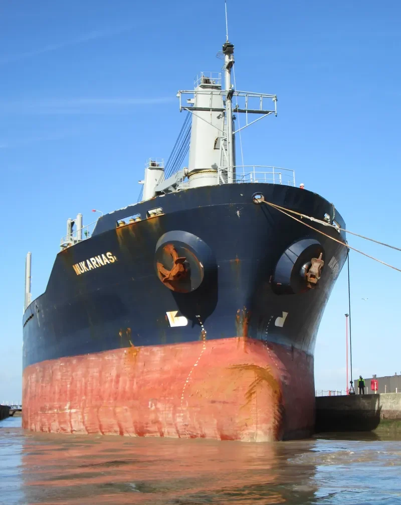 MOMENTUM PHONIX Bulk Carrier IMO 9113874 photo 7