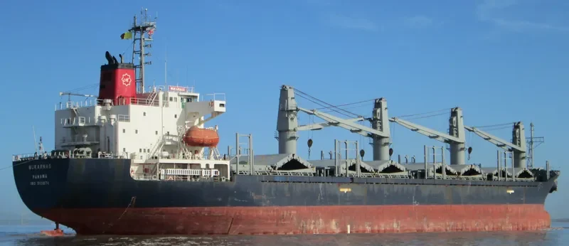 MOMENTUM PHONIX Bulk Carrier IMO 9113874 photo 8