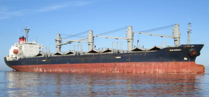 MOMENTUM PHONIX Bulk Carrier IMO 9113874 photo 9