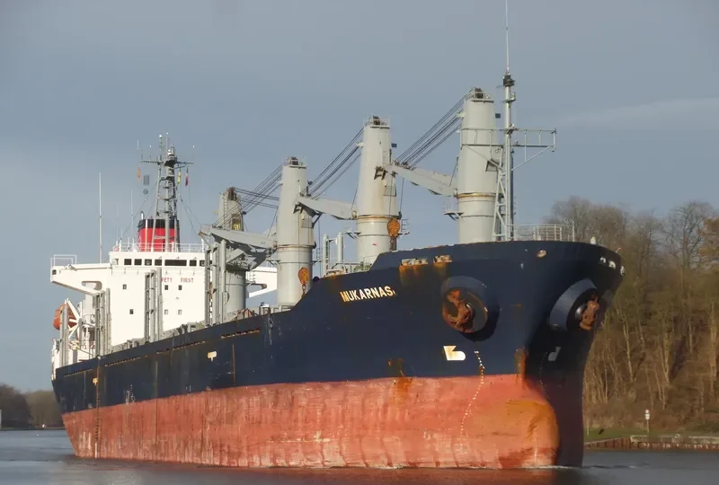 MOMENTUM PHONIX Bulk Carrier IMO 9113874 photo 10