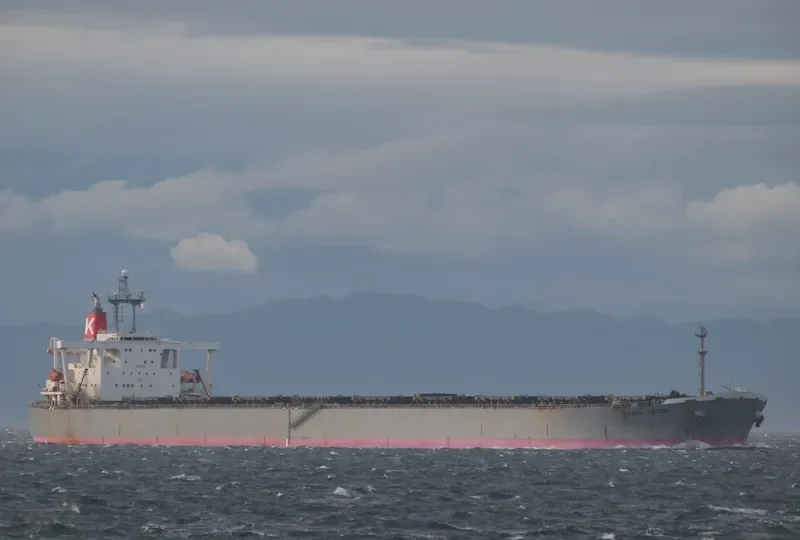 BERGE MATTERHORN Bulk Carrier IMO 9113915 photo 3