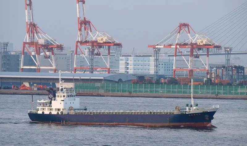 DOLPHIN NUSANTARA 2 General Cargo IMO 9114012