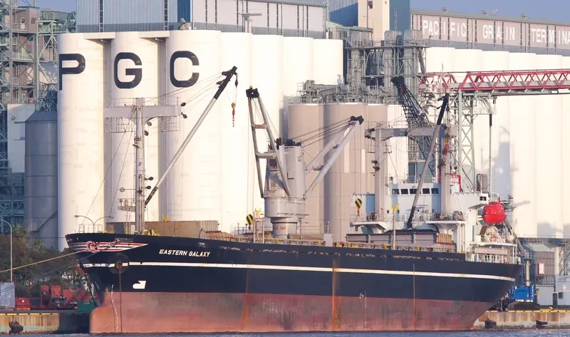 MING XIANG DA 1 General Cargo IMO 9114048 photo 3
