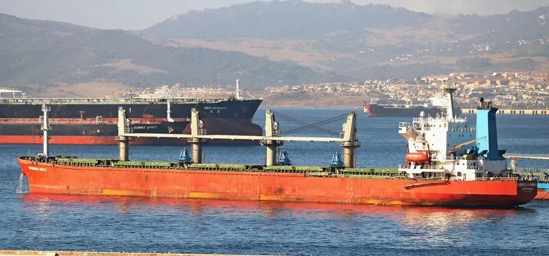 KRISTINA P Bulk Carrier IMO 9114139 photo 2