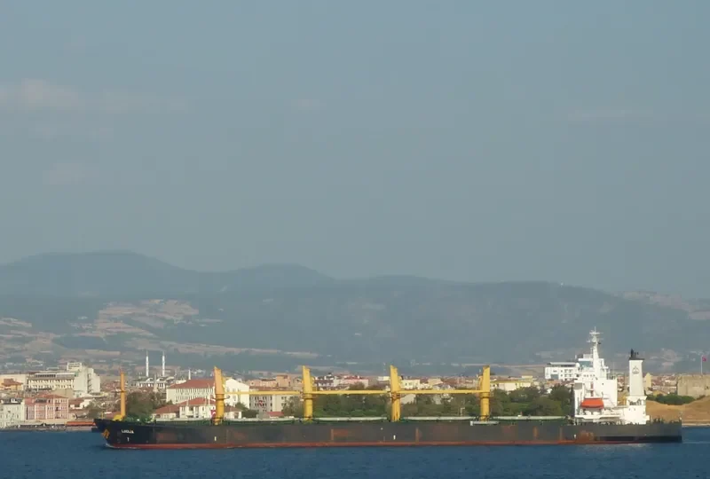 LUCIJA Bulk Carrier IMO 9114141 photo 8