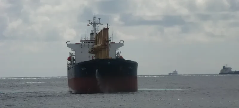 LUCIJA Bulk Carrier IMO 9114141 photo 9