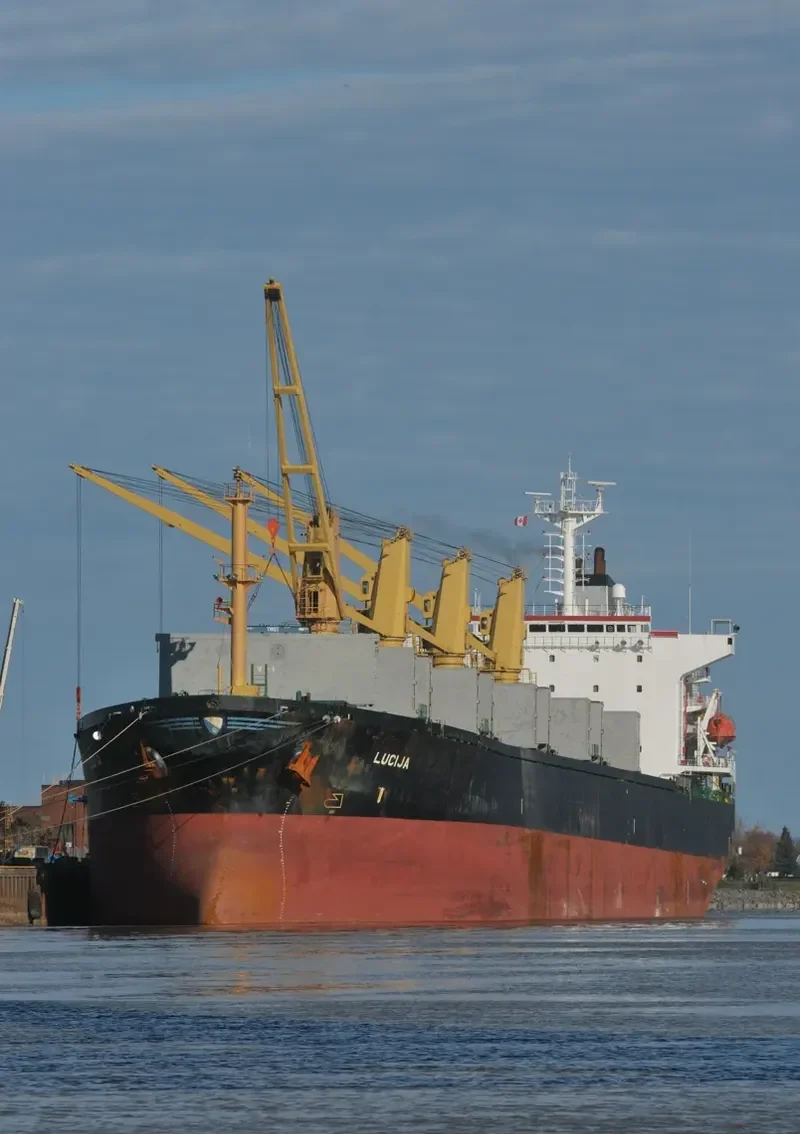 LUCIJA Bulk Carrier IMO 9114141 photo 10