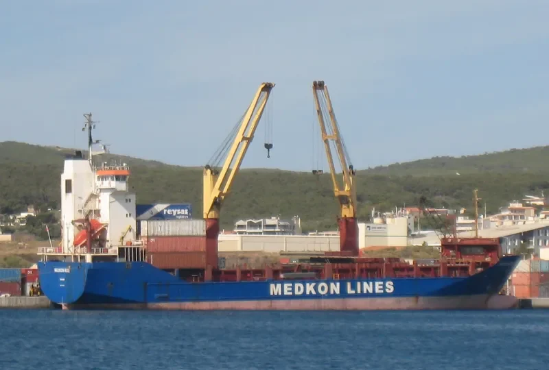 MEDKON RIZE Container Ship IMO 9114347 photo 2