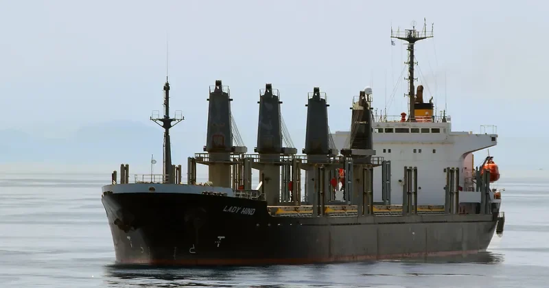 LADY HIND Bulk Carrier IMO 9114464 photo 5