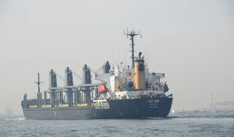 LADY HIND Bulk Carrier IMO 9114464 photo 9