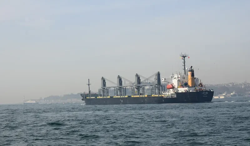 LADY HIND Bulk Carrier IMO 9114464 photo 10