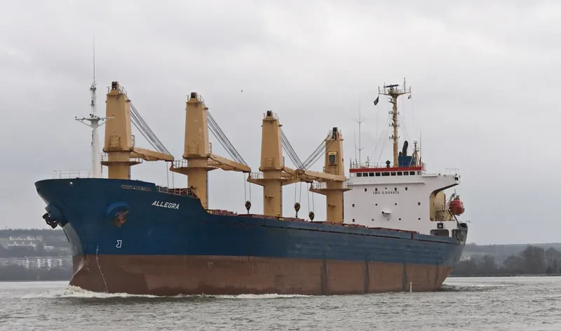 ALLEGRA Bulk Carrier IMO 9114476 photo 3